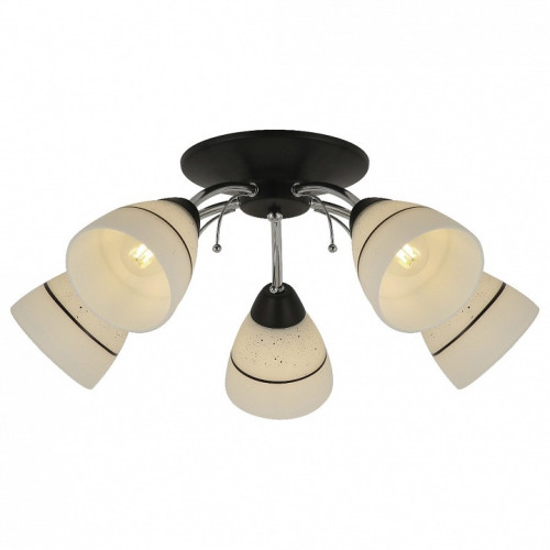 Потолочная люстра TopLight Winnifred TL1255D-05BC