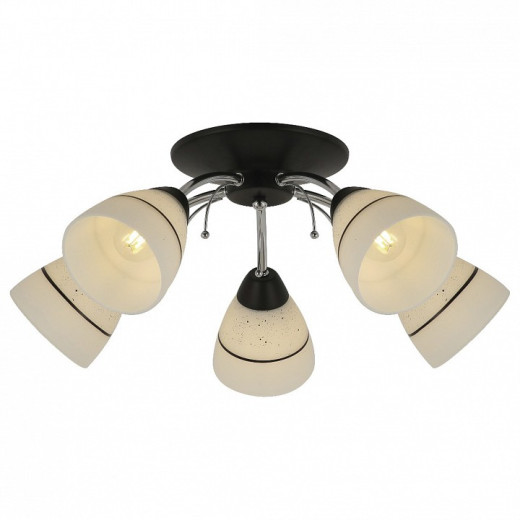 Потолочная люстра TopLight Winnifred TL1255D-05BC