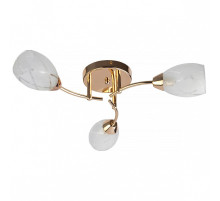 Потолочная люстра TopLight Lucy TL7120X-03FG