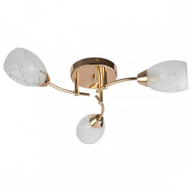 Потолочная люстра TopLight Lucy TL7120X-03FG