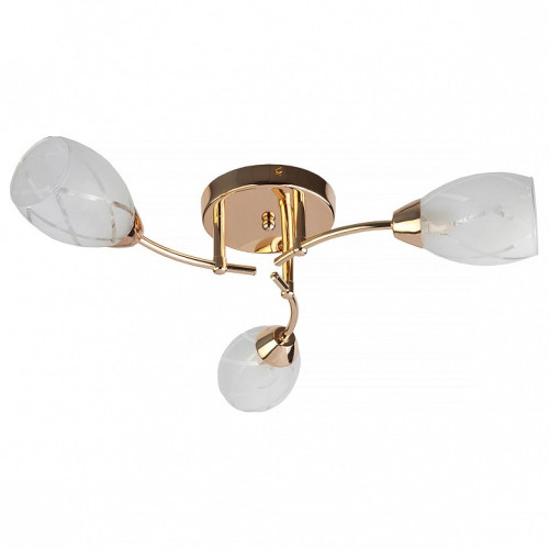 Потолочная люстра TopLight Lucy TL7120X-03FG