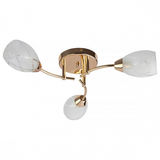 Потолочная люстра TopLight Lucy TL7120X-03FG