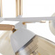 Потолочная люстра Arte Milano AMALFI-327410 327410/5 FG+WH