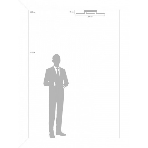 Потолочная люстра Freya Bodge FR10017CL-L92W