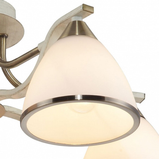 Потолочная люстра TopLight Sheena TL3670X-05AB