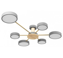 Потолочная люстра Loft it Sunrise 10316/6 Grey