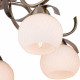 Потолочная люстра TopLight Olivia TL3750X-05AB
