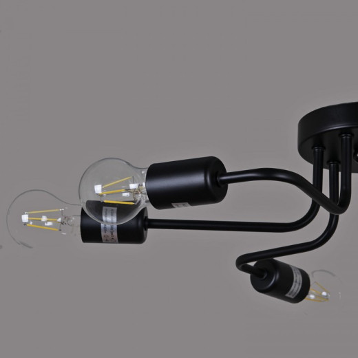 Потолочная люстра 01736-0.3-06 BK