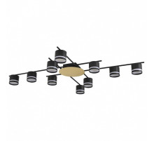 Потолочная люстра Lumion BENUA 8304/10C