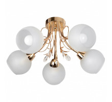 Потолочная люстра TopLight Gwen TL7460X-05FG