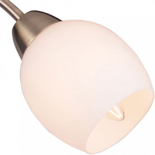 Потолочная люстра TopLight Merry TL3780X-03AB