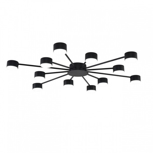 Потолочная люстра Lumion TORINA 8344/12C