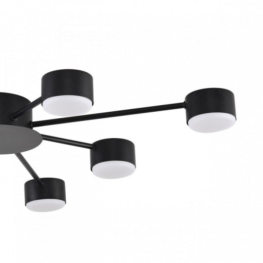 Потолочная люстра Lumion TORINA 8344/8C