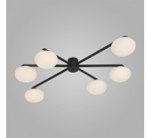 Потолочная люстра Eurosvet Opaline 70220/6 черный