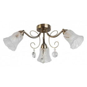 Потолочная люстра TopLight Charla TL7100X-03AB