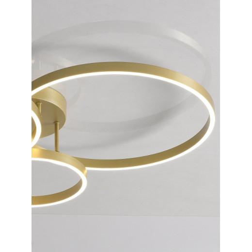 Потолочная люстра Natali Kovaltseva  LED LAMPS 81480