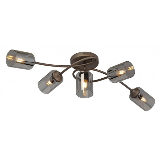 Потолочная люстра Vitaluce V2048 V2048-7/5PL