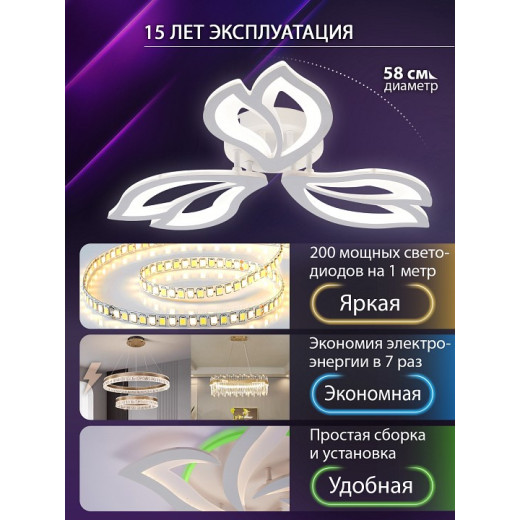 Потолочная люстра Natali Kovaltseva FORTUNA LED LAMPS 81107/2C