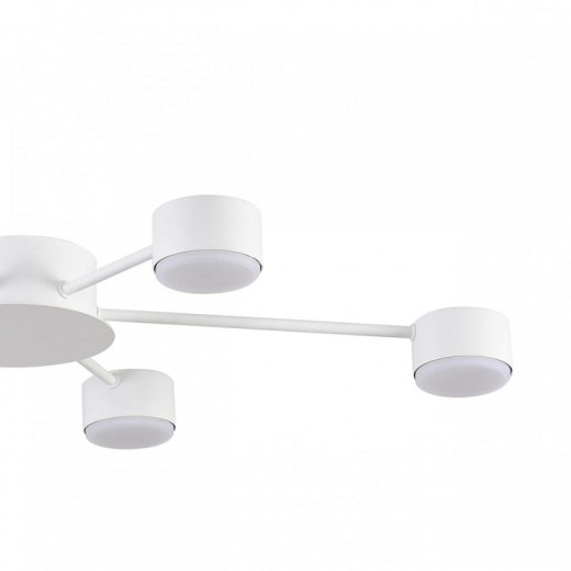 Потолочная люстра Lumion TORINA 8343/6C