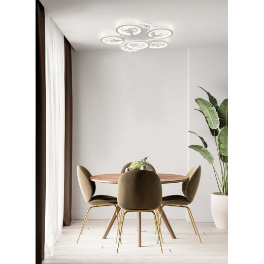 Потолочная люстра Freya Bodge FR10017CL-L92W