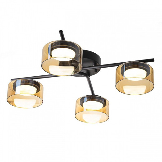 Потолочная люстра Citilux ESPACE CL243141