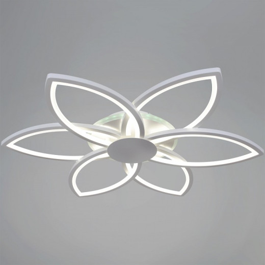 Потолочная люстра 09877-0.3-06B WH (RGB)