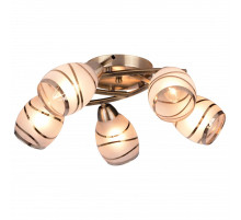 Потолочная люстра TopLight Polly TL3720X-05AB