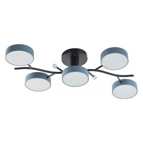 Потолочная люстра Arte Milano Ferrara 256606/5 Bk/Gr