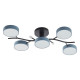 Потолочная люстра Arte Milano Ferrara 256606/5 Bk/Gr