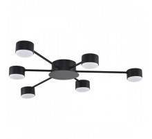 Потолочная люстра Lumion TORINA 8344/6C