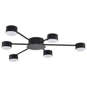 Потолочная люстра Lumion TORINA 8344/6C