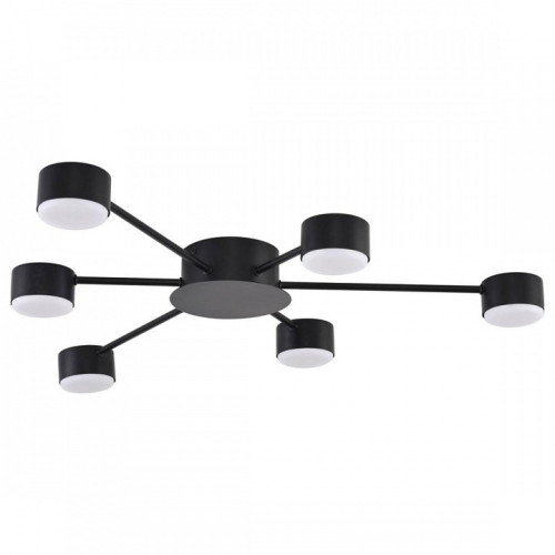 Потолочная люстра Lumion TORINA 8344/6C