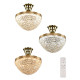 Потолочная люстра Bohemia Ivele Crystal 1932 19321/25IV/LED-DIM G