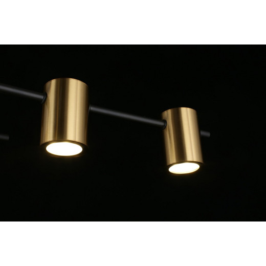 Потолочная люстра Aployt Elwisia APL.633.07.10