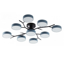 Потолочная люстра Arte Milano Ferrara 256606/8+1 Bk/Gr