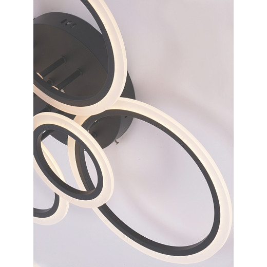 Потолочная люстра Natali Kovaltseva HOME LED LAMPS 81440