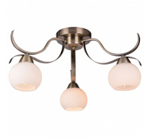 Потолочная люстра TopLight Olivia TL3750X-03AB