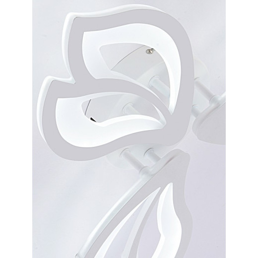 Потолочная люстра Natali Kovaltseva FORTUNA LED LAMPS 81107/2C