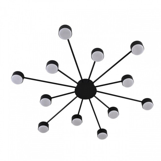 Потолочная люстра Lumion TORINA 8344/12C