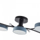 Потолочная люстра Arte Milano Ferrara 256606/5 Bk/Gr