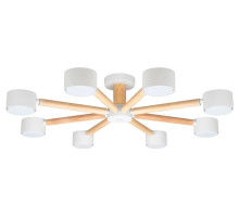 Потолочная люстра Arte Lamp TENDA A1624PL-8WH