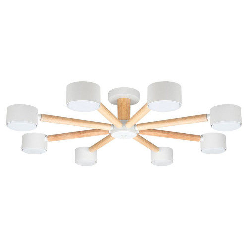 Потолочная люстра Arte Lamp TENDA A1624PL-8WH