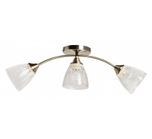 Потолочная люстра De City Вита 220014603