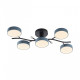Потолочная люстра Arte Milano Ferrara 256606/5 Bk/Gr