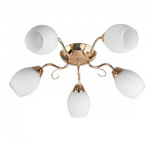 Потолочная люстра TopLight Kristin TL3520X-05FG