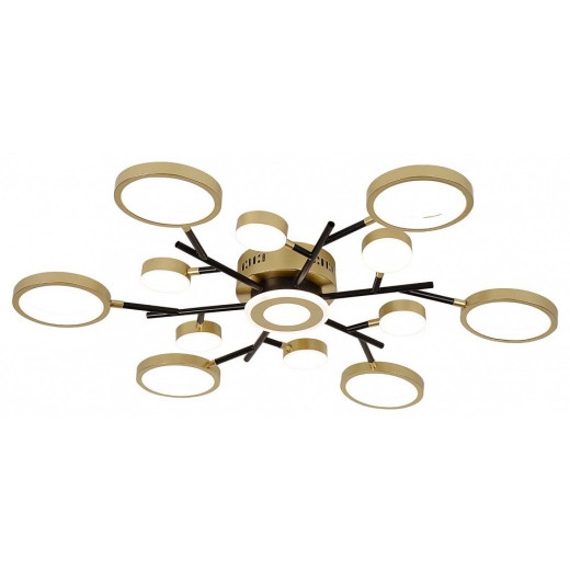 Потолочная люстра F-promo Hybrid 4686-13C