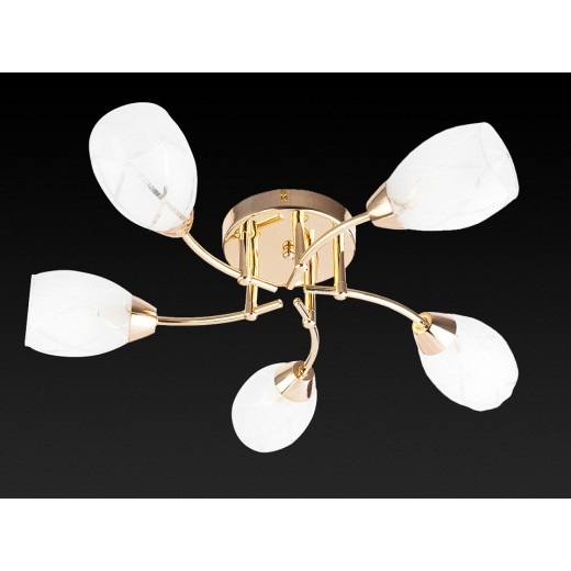 Потолочная люстра TopLight Lucy TL7120X-05FG