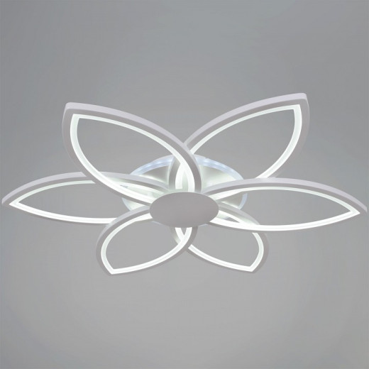 Потолочная люстра 09877-0.3-06B WH (RGB)