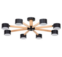 Потолочная люстра Arte Lamp TENDA A1624PL-8BK