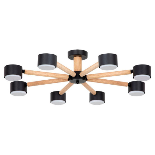 Потолочная люстра Arte Lamp TENDA A1624PL-8BK